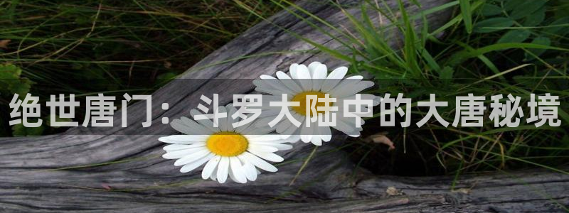 漫画岛下载免费下载：绝世唐门：斗罗大陆中的大唐秘境