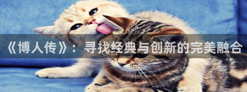 漫画岛app官方应用下载：《博人传》：寻找经典与创新的完美融合
